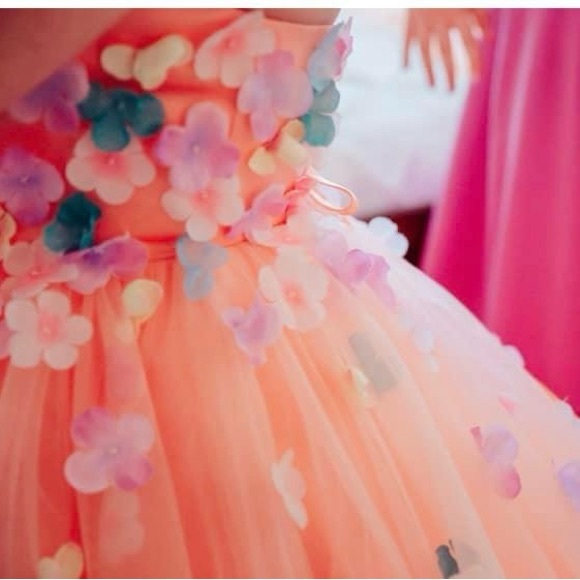 ( DM 1st) Peach Tulle Floral Appliqué Wedding or Quinceañera Gown Size 12-14 - Picture 14 of 16